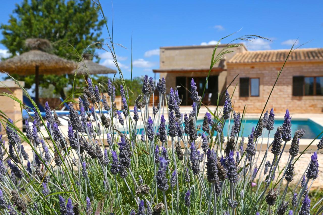 Finca Tiana Ses Salines  Dış mekan fotoğraf
