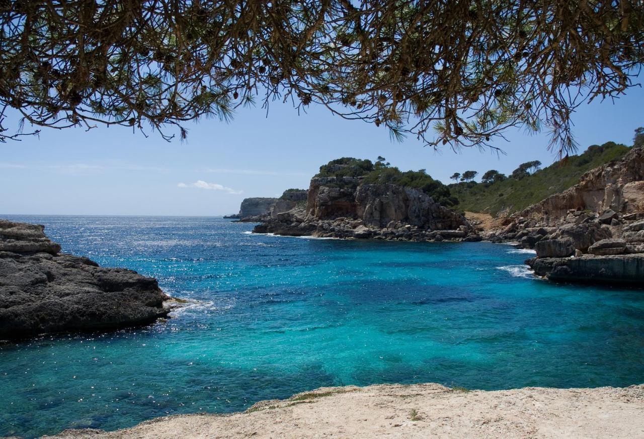 Finca Tiana Ses Salines  Dış mekan fotoğraf